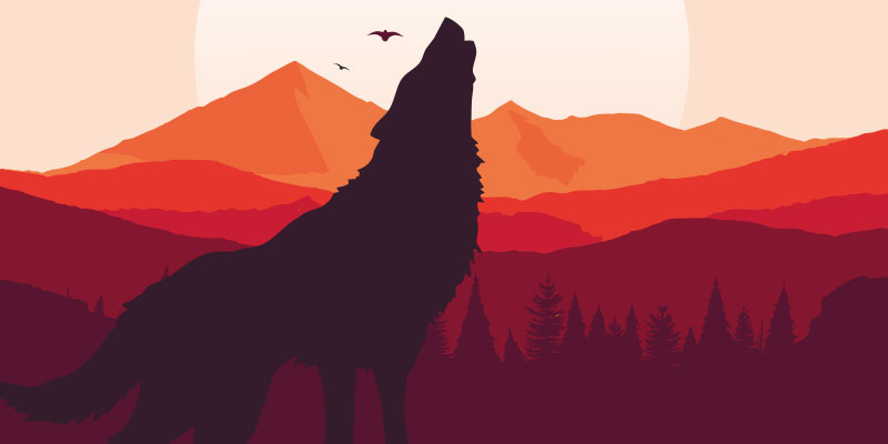 Are You a Lone Wolf? A Solopreneur...